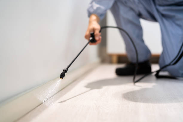 Professional exterminator conducting IPM assessment in Haslet